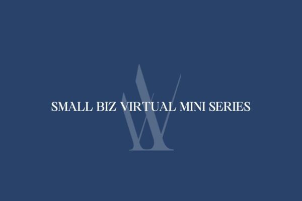 Small Biz Virtual Mini Series